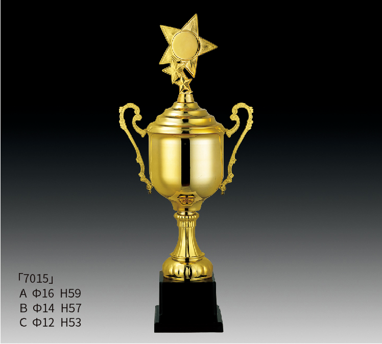 Metal Trophy MT_RT7015