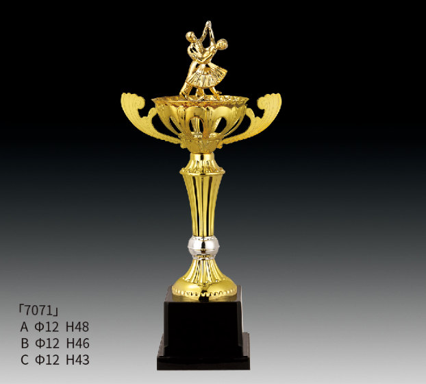 Metal Trophy MT_RT7071