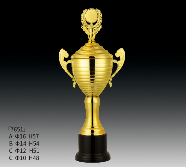 Metal Trophy MT_RT7651