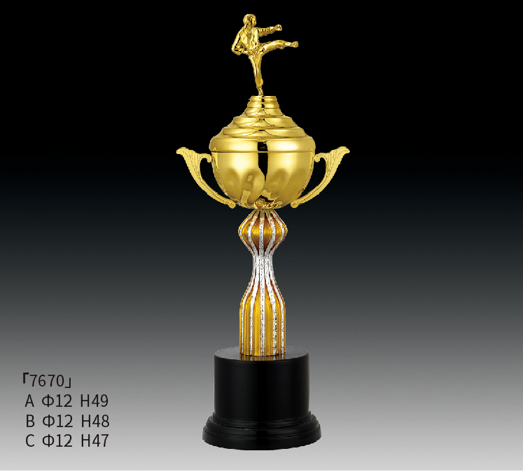 Metal Trophy MT_RT7670