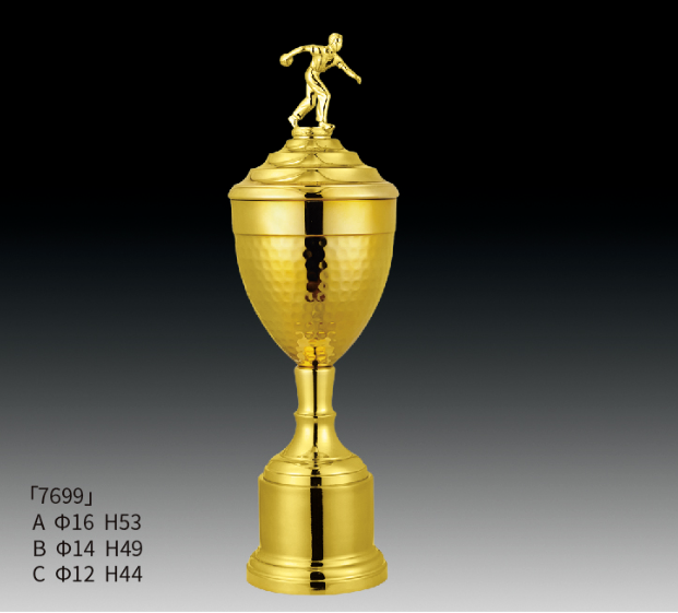Metal Trophy MT_RT7699