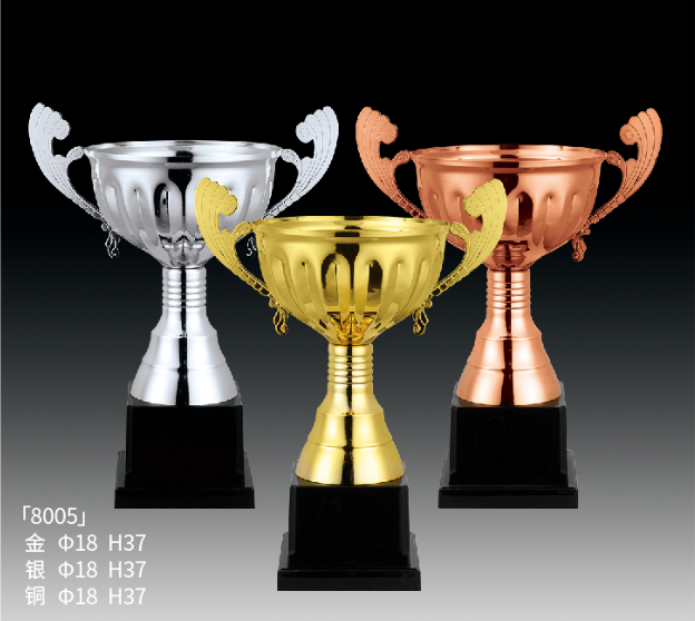Metal Trophy MT_RT8005