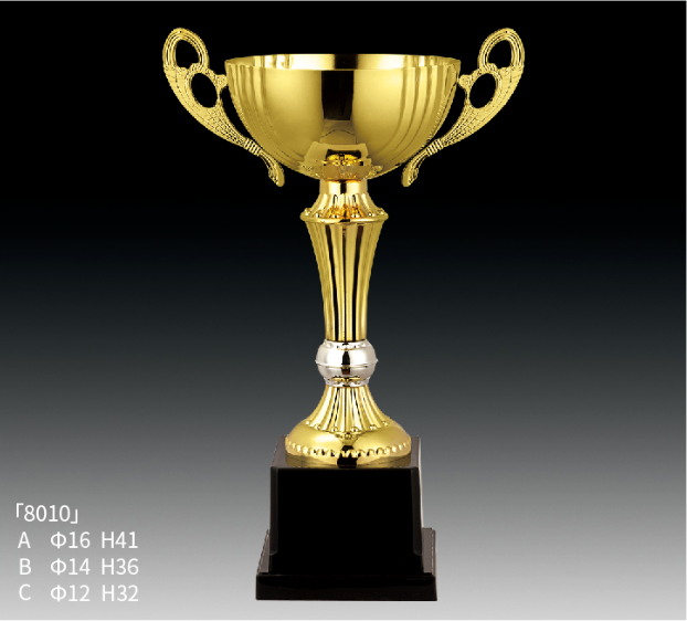 Metal Trophy MT_RT8010