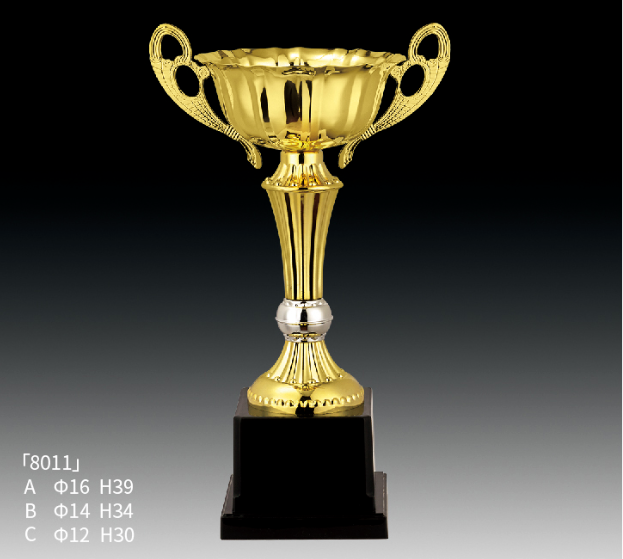 Metal Trophy MT_RT8011