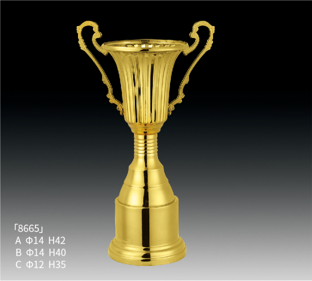 Metal Trophy MT_RT8665