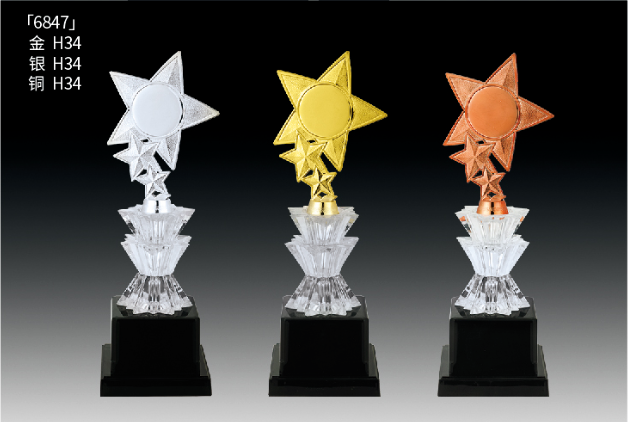Metal Trophy MT-SS6847